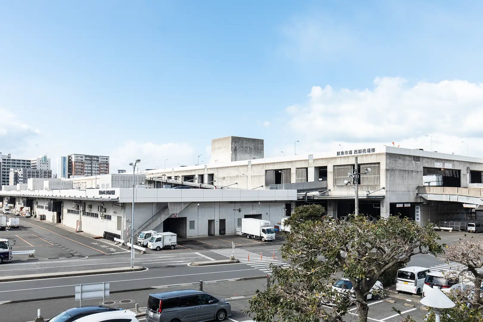 🐟 나가하마 선어시장 (나가하마 센교이치바) 이미지 1